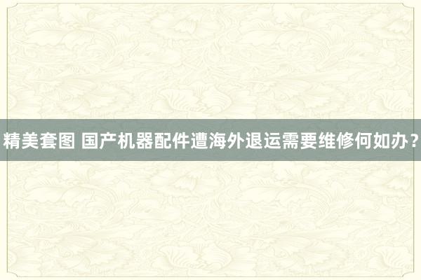 精美套图 国产机器配件遭海外退运需要维修何如办？