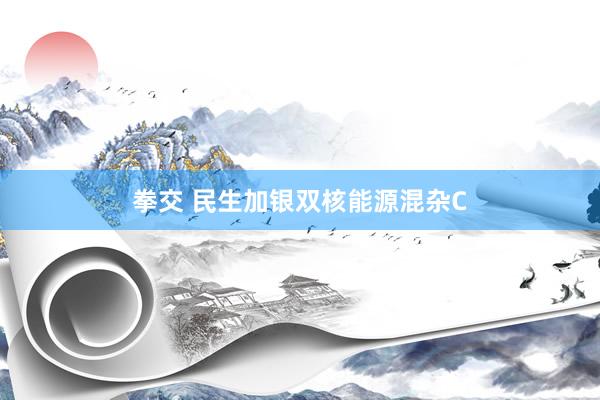 拳交 民生加银双核能源混杂C