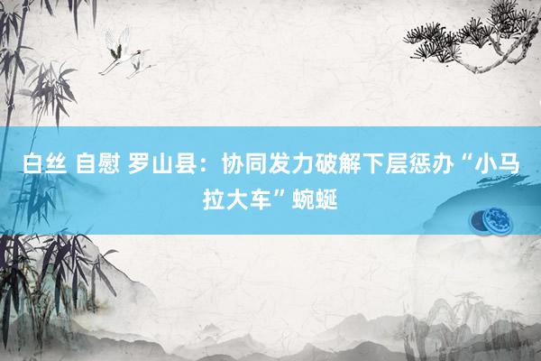 白丝 自慰 罗山县：协同发力破解下层惩办“小马拉大车”蜿蜒