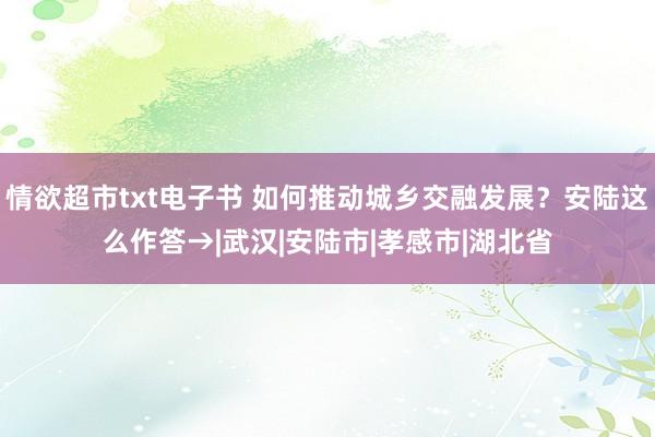 情欲超市txt电子书 如何推动城乡交融发展？安陆这么作答→|武汉|安陆市|孝感市|湖北省