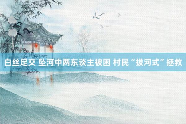 白丝足交 坠河中两东谈主被困 村民“拔河式”拯救