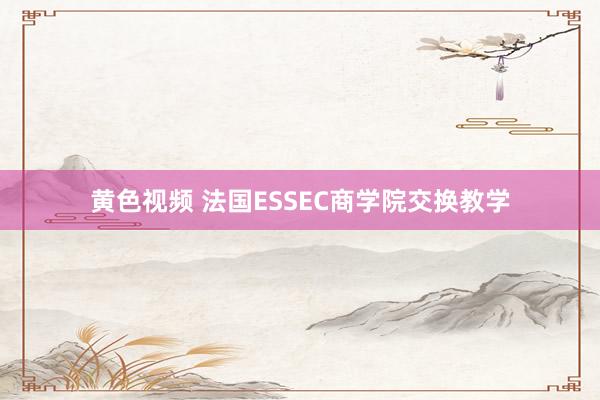 黄色视频 法国ESSEC商学院交换教学