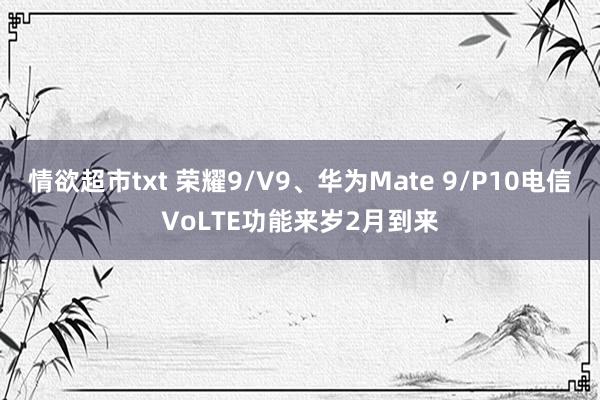 情欲超市txt 荣耀9/V9、华为Mate 9/P10电信VoLTE功能来岁2月到来