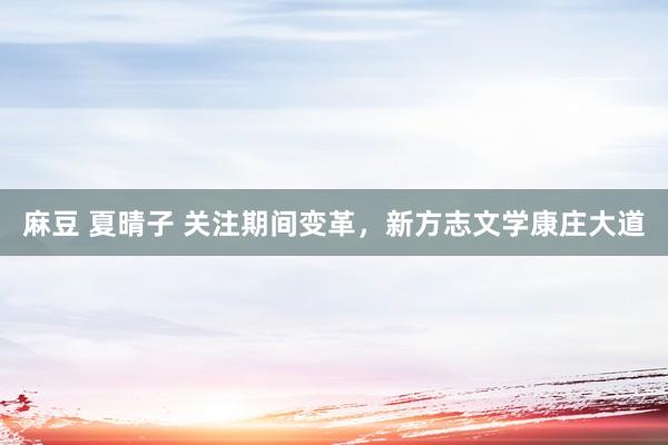 麻豆 夏晴子 关注期间变革，新方志文学康庄大道