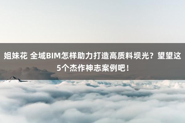 姐妹花 全域BIM怎样助力打造高质料坝光？望望这5个杰作神志案例吧！