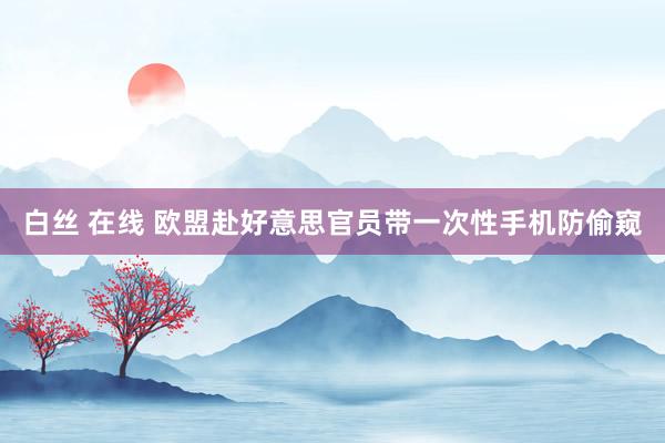 白丝 在线 欧盟赴好意思官员带一次性手机防偷窥