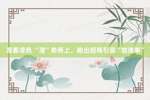 淫香淫色 “澄”势而上，跑出招商引资“加速率”