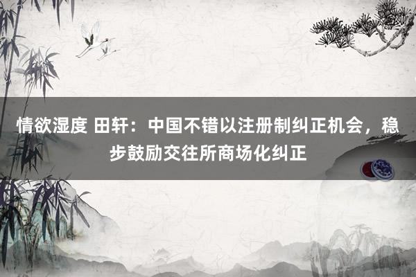 情欲湿度 田轩：中国不错以注册制纠正机会，稳步鼓励交往所商场化纠正