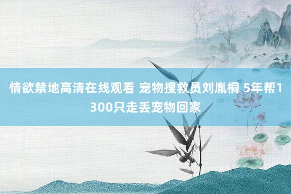 情欲禁地高清在线观看 宠物搜救员刘胤桐 5年帮1300只走丢宠物回家