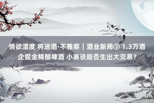 情欲湿度 将进酒·不雅察｜酒业新局③ 1.3万酒企掘金精酿啤酒 小赛谈能否生出大交易？