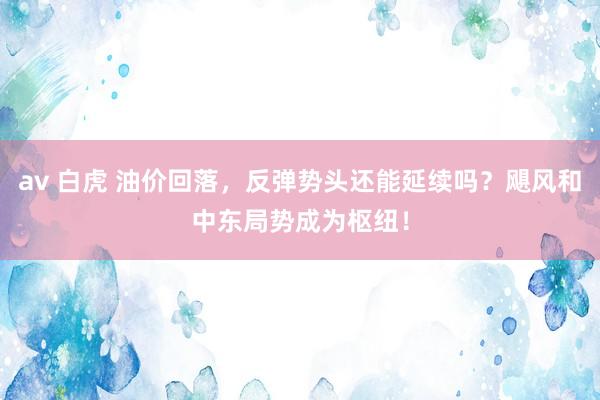 av 白虎 油价回落，反弹势头还能延续吗？飓风和中东局势成为枢纽！