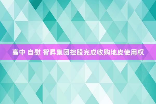 高中 自慰 智昇集团控股完成收购地皮使用权