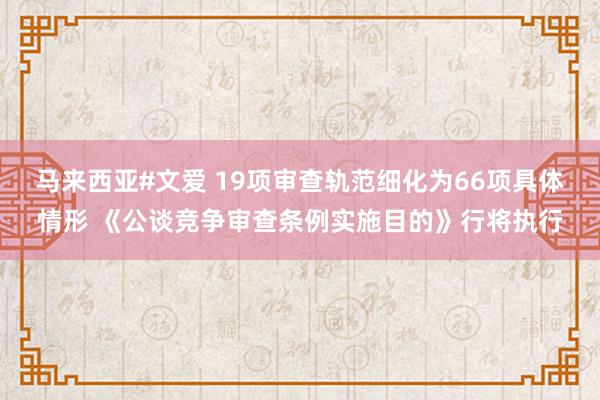 马来西亚#文爱 19项审查轨范细化为66项具体情形 《公谈竞争审查条例实施目的》行将执行